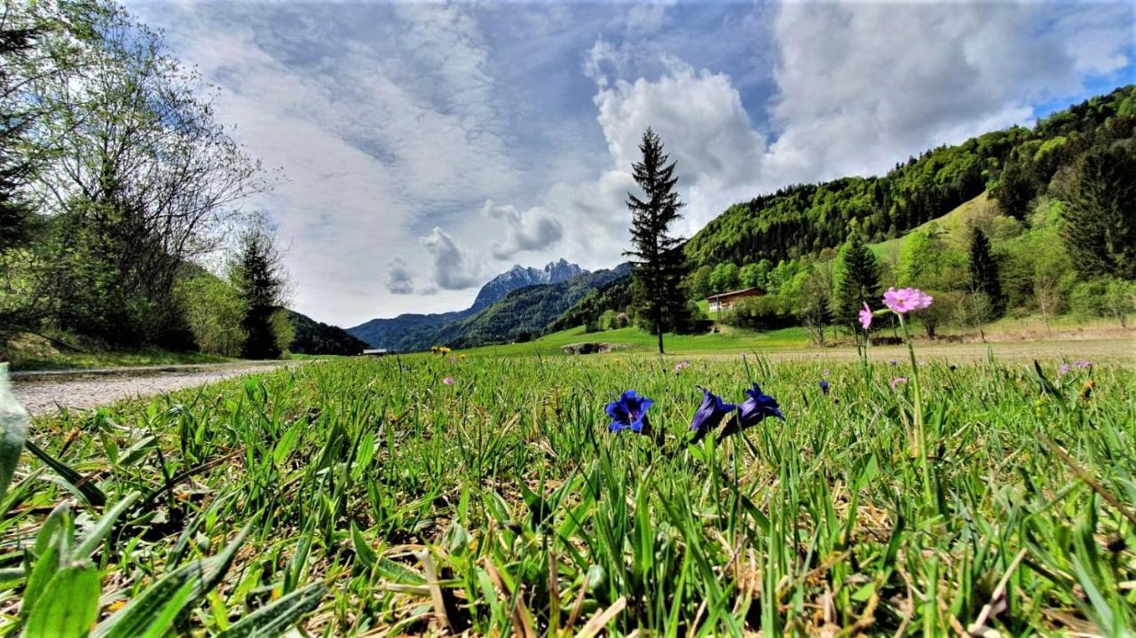 Haus Christl Am Horn Apartment Sankt Johann in Tirol Bagian luar foto